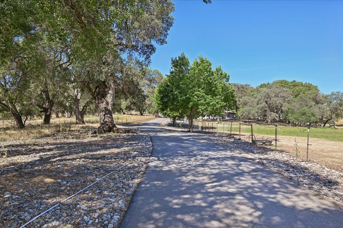 8395 McCourtney Road Lincoln, CA 95648 - Photo 3 of 96