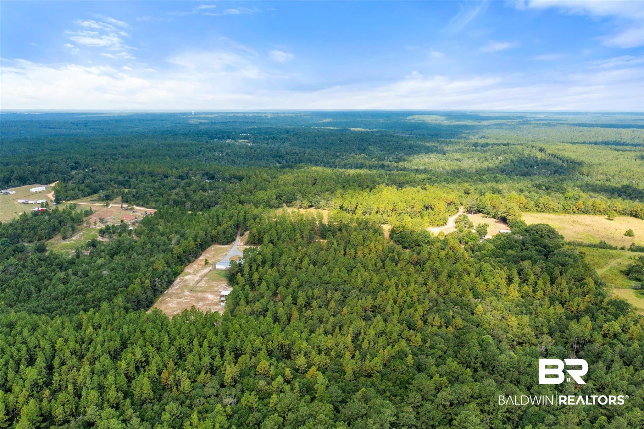 0 East Chunchula Highlands Road Chunchula, AL 36521 - Photo 12 of 18