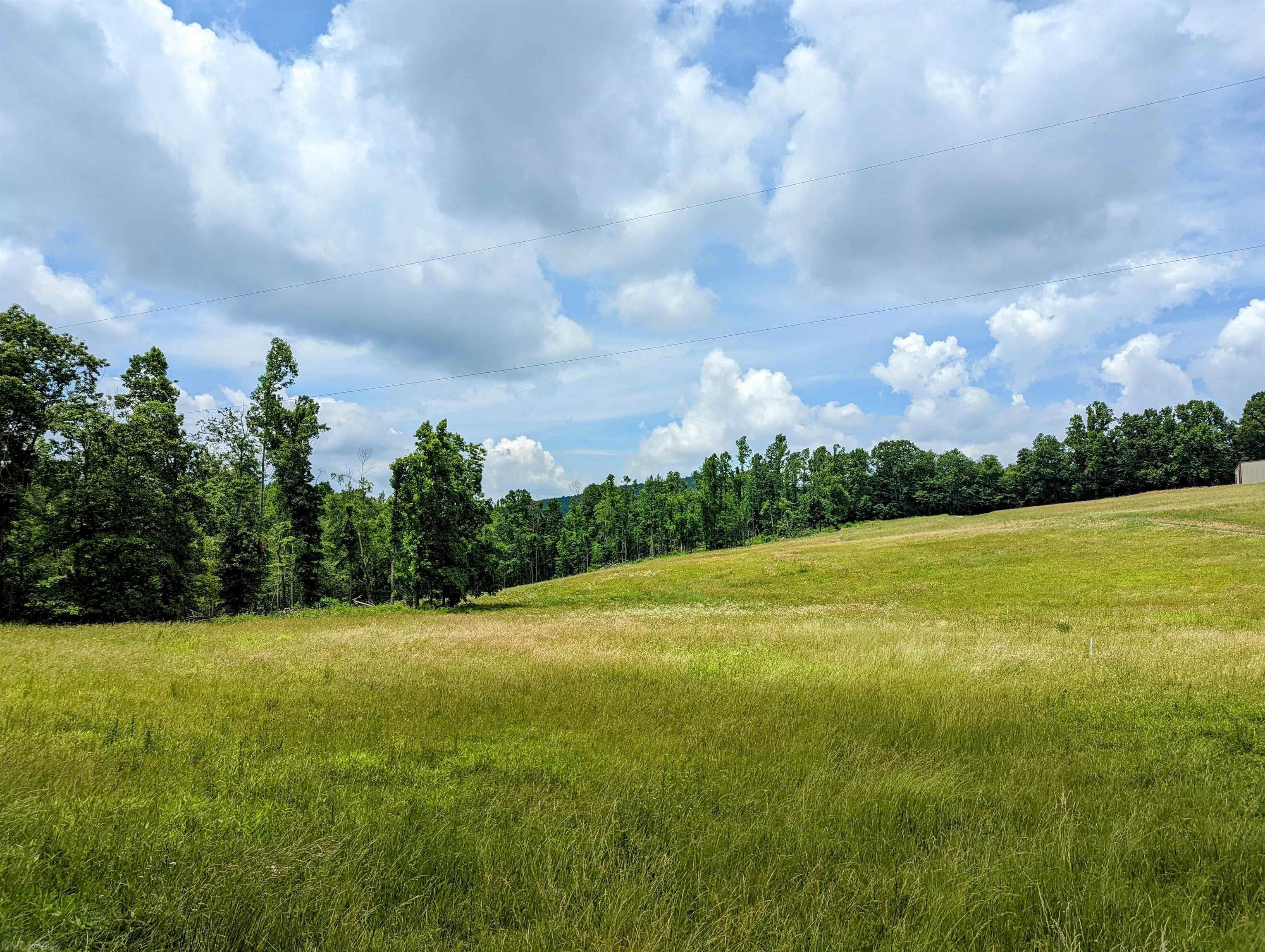 Tbd Buffalo Mountain Road Southwest Meadows Of Dan, VA 24120 - Photo 1 of 9 Gallery Image 1