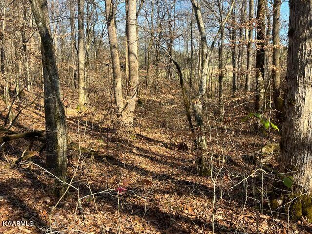 41 Athens Road Delano, TN 37325 - Photo 7 of 34