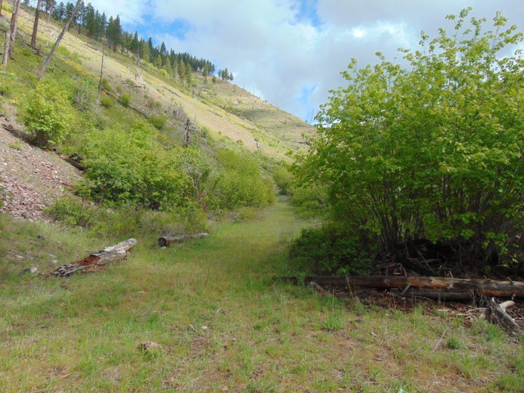27235 Lazy Springs Road Clinton, MT 59825 - Photo 92 of 94 Gallery Image 92