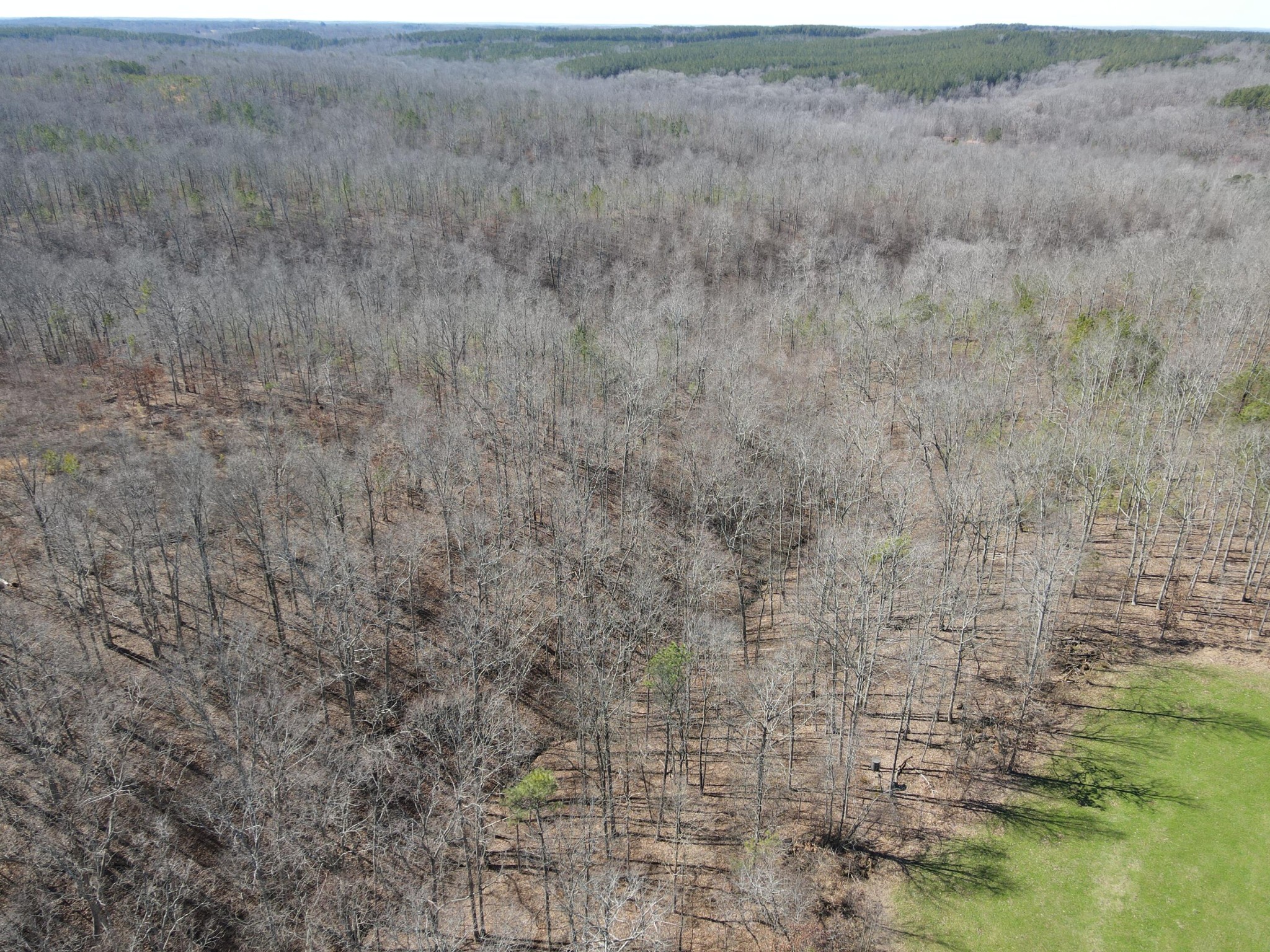 0 Pine Grove Road Big Sandy, TN 38221 - Photo 11 of 13 Gallery Image 11