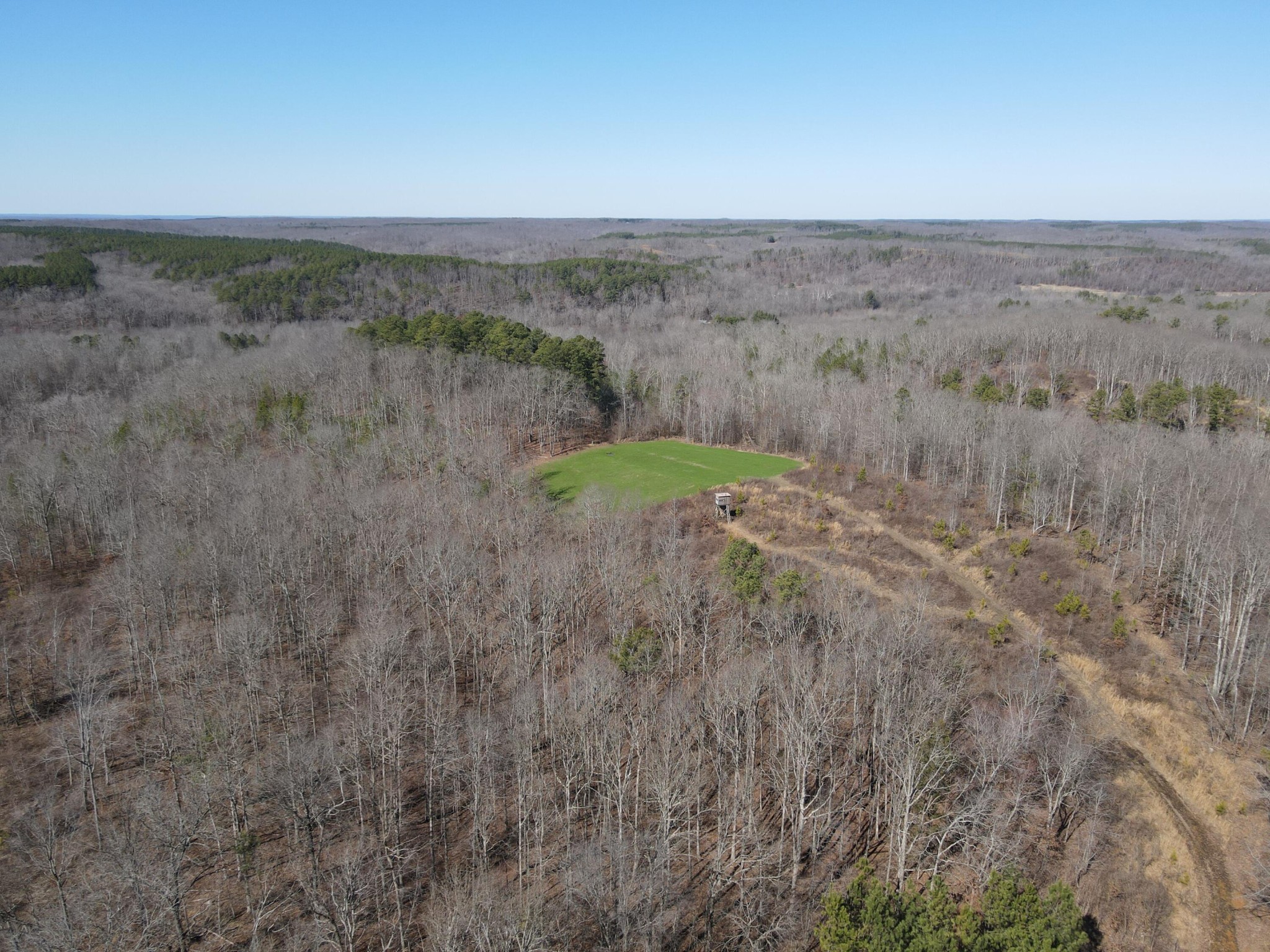 0 Pine Grove Road Big Sandy, TN 38221 - Photo 13 of 13 Gallery Image 13
