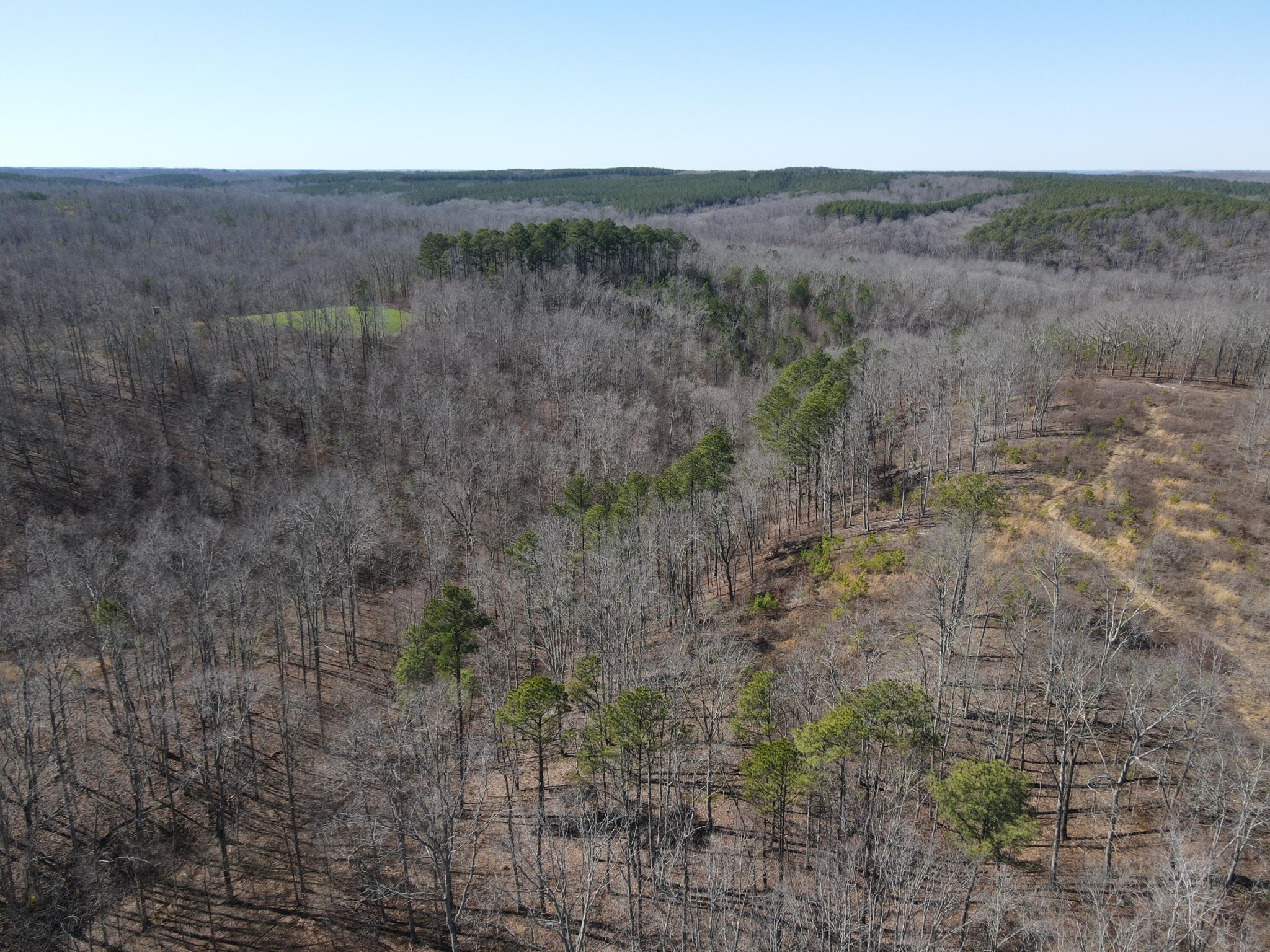0 Pine Grove Road Big Sandy, TN 38221 - Photo 9 of 13 Gallery Image 9