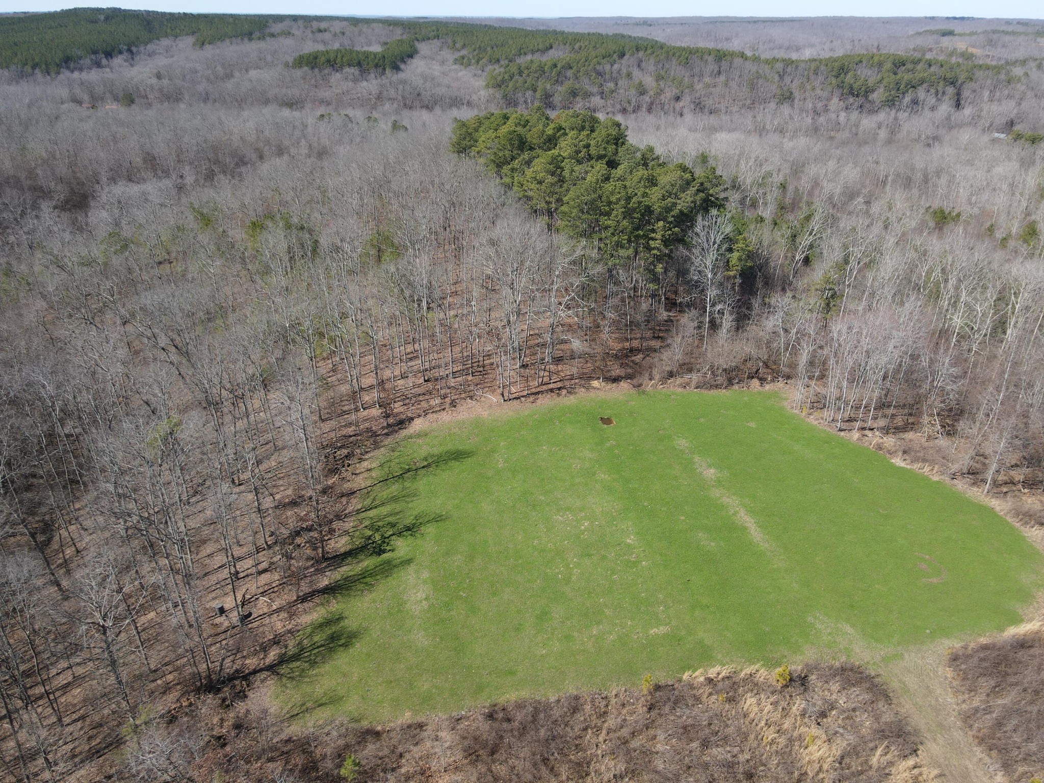 0 Pine Grove Road Big Sandy, TN 38221 - Photo 10 of 13 Gallery Image 10