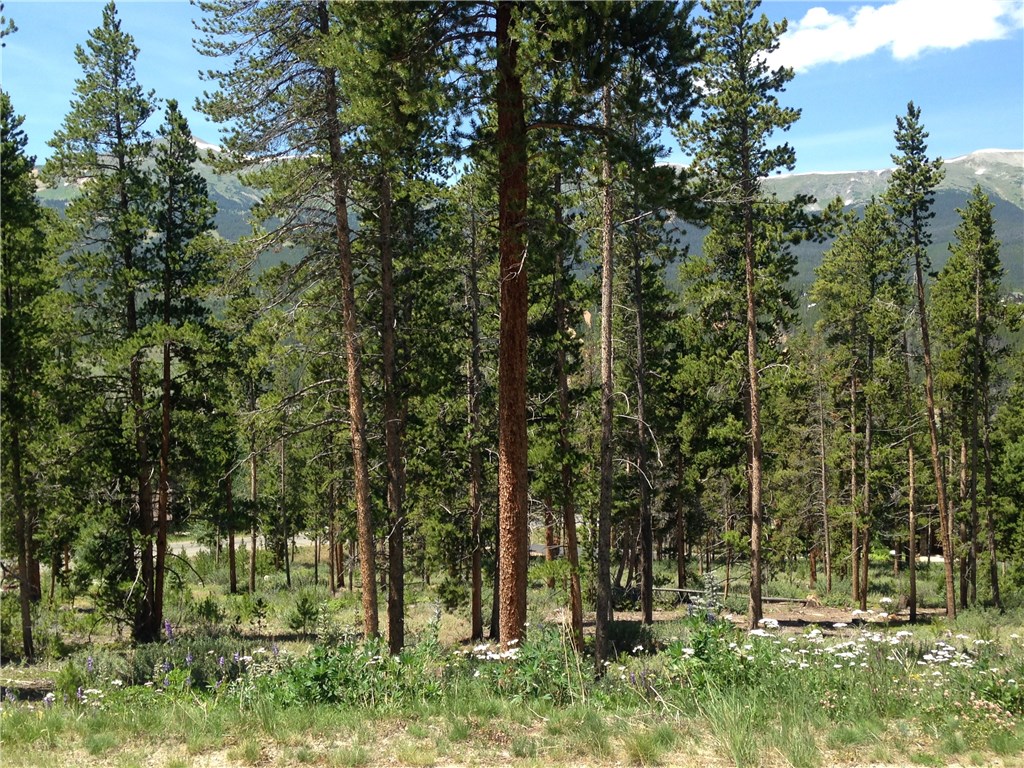 71 Rounds Road Breckenridge, CO 80424 - Photo 7 of 7 Gallery Image 7