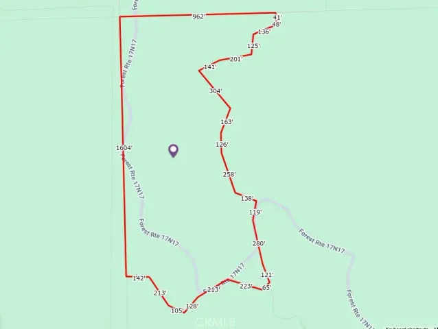 a picture of flowers