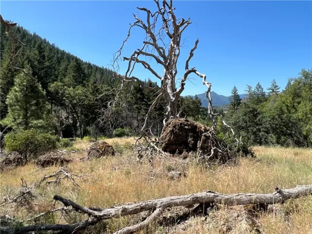 a view of a yard with snow