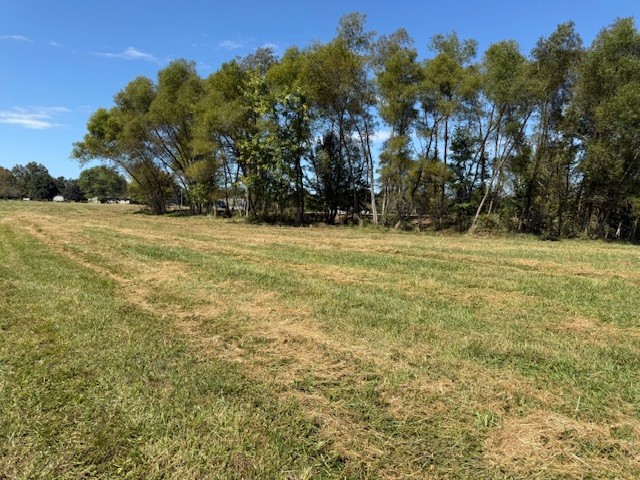 405 Smith Road Crossville, TN 38571 - Photo 15 of 28 a view of a yard with a tree