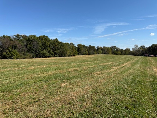 405 Smith Road Crossville, TN 38571 - Photo 16 of 28 a view of an outdoor space and a yard