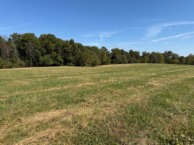 405 Smith Road Crossville, TN 38571 - Photo 17 of 28 a view of field with tall trees