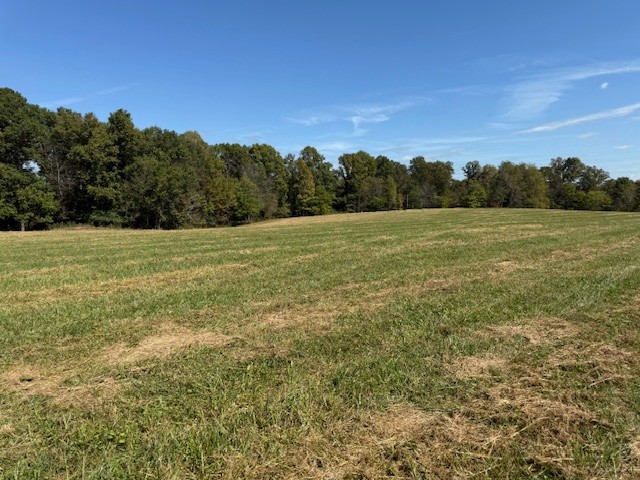 405 Smith Road Crossville, TN 38571 - Photo 18 of 28 a view of field with trees in background