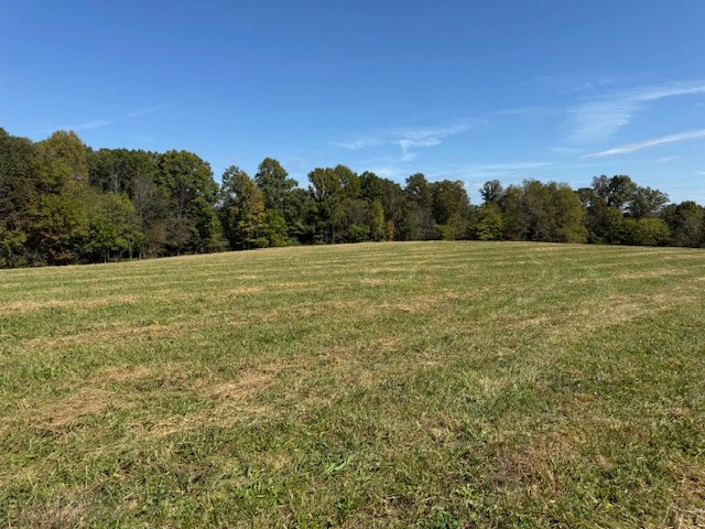 405 Smith Road Crossville, TN 38571 - Photo 19 of 28 a view of an outdoor space and a yard