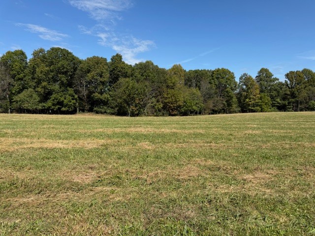 405 Smith Road Crossville, TN 38571 - Photo 20 of 28 a view of outdoor space and yard