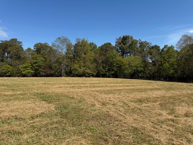 405 Smith Road Crossville, TN 38571 - Photo 25 of 28 a view of a yard