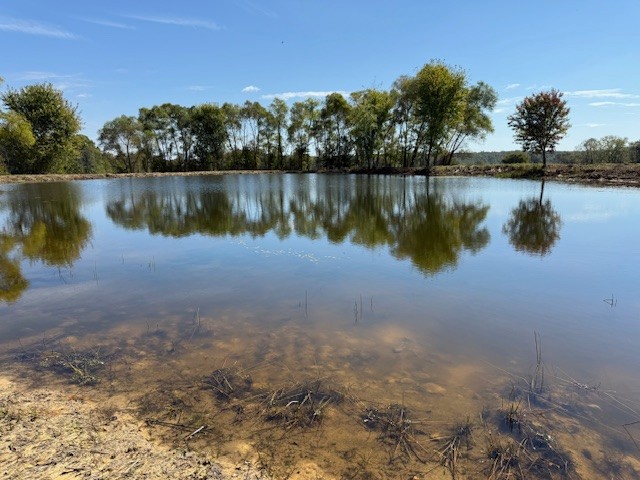 405 Smith Road Crossville, TN 38571 - Photo 8 of 28 a view of a lake