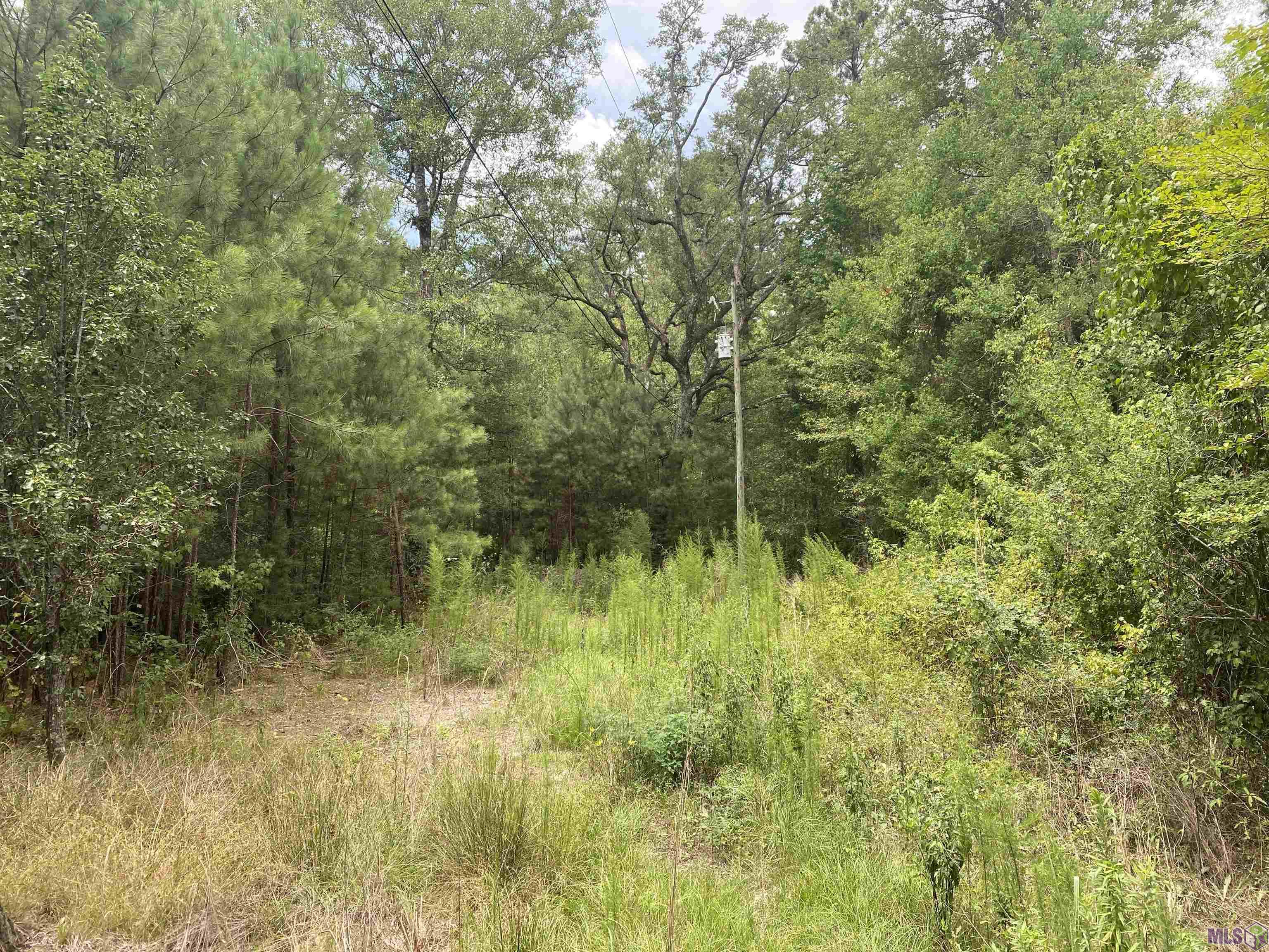 36765 Weiss Road Walker, LA 70785 - Photo 1 of 3