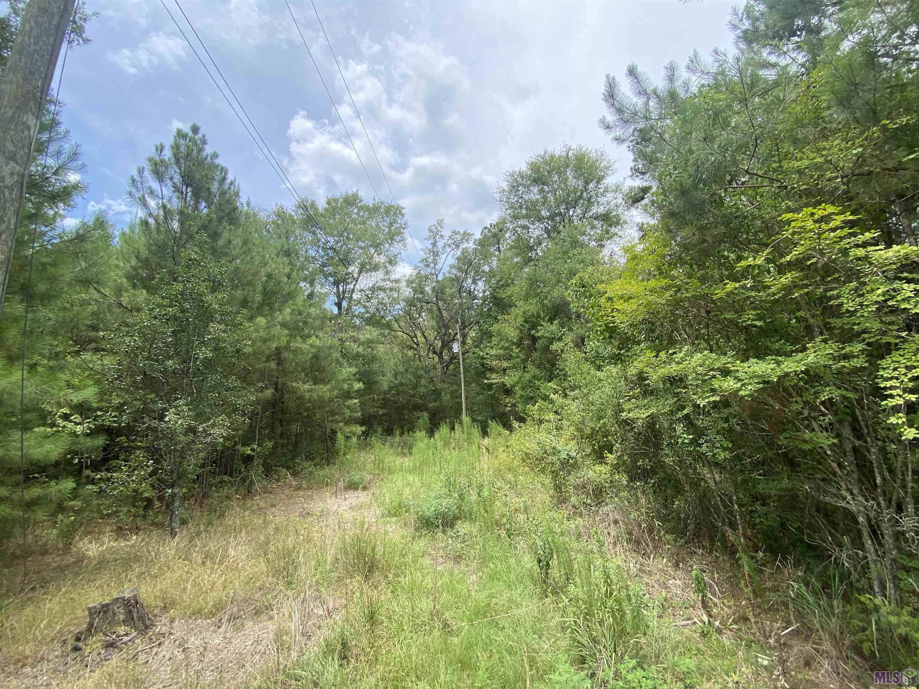 36765 Weiss Road Walker, LA 70785 - Photo 2 of 3