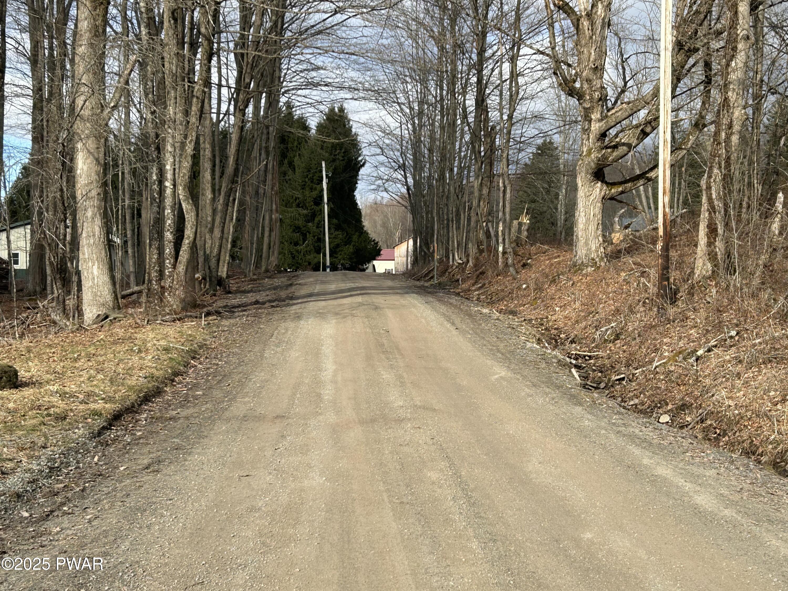 246 Czapnik Road Pleasant Mount, PA 18453 - Photo 27 of 29