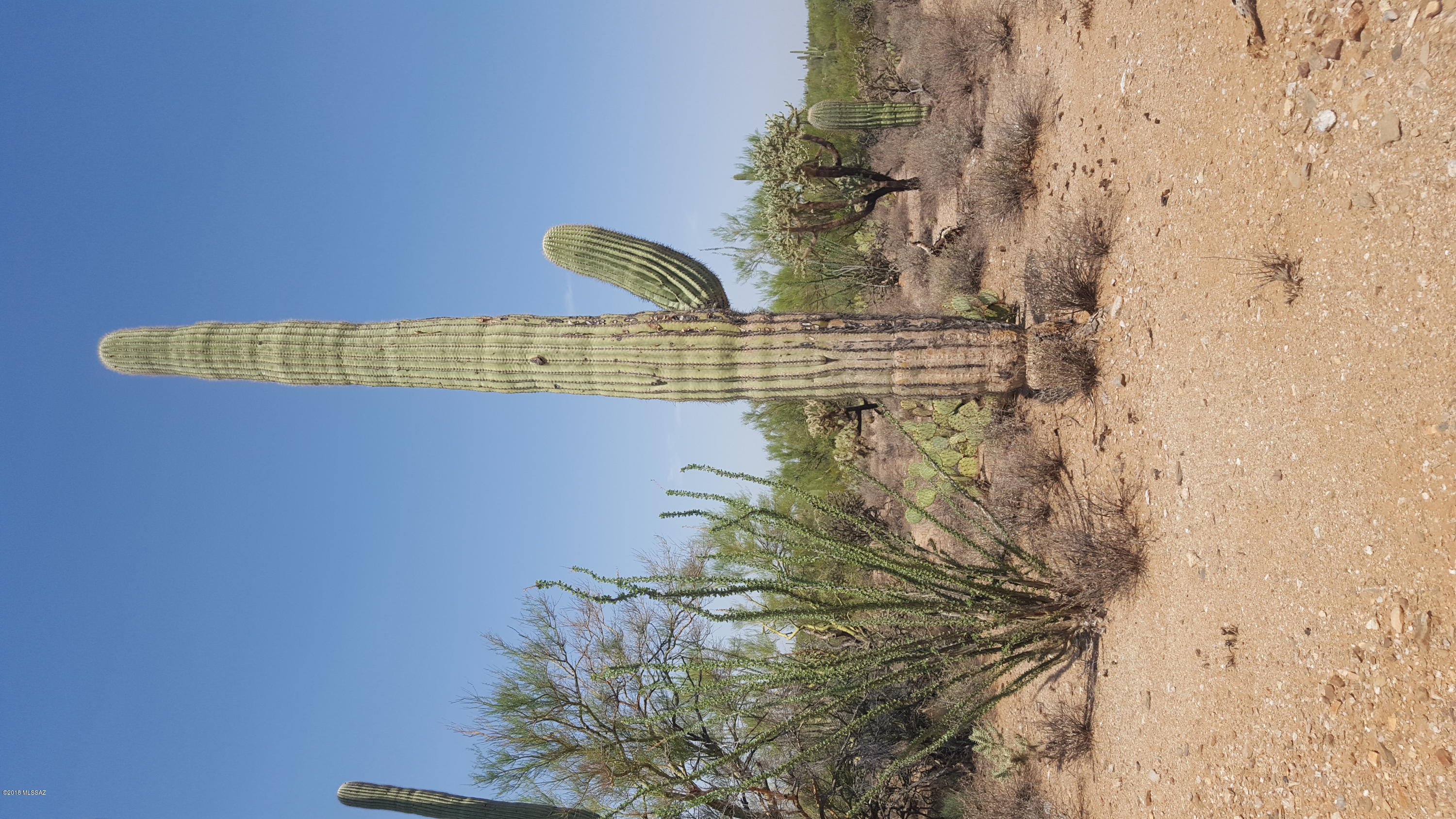 South Mule Deer Road Marana, AZ 85658 - Photo 11 of 15