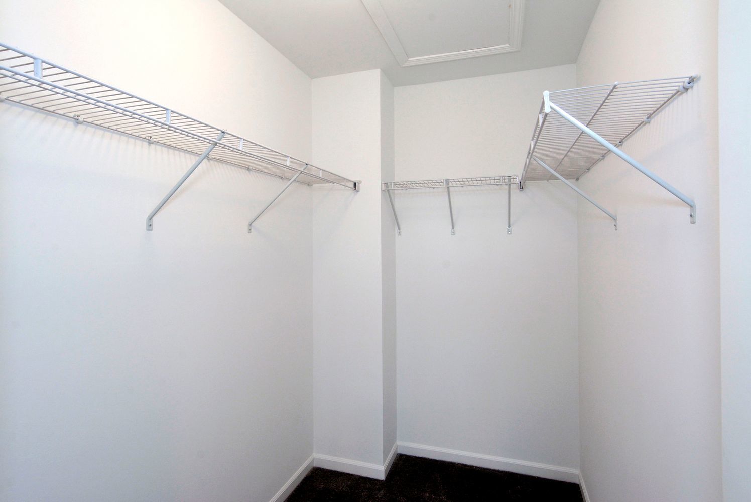 202 Timberleaf Circle Roselle, IL 60172 - Photo 9 of 14 a view of walk in closet with empty racks