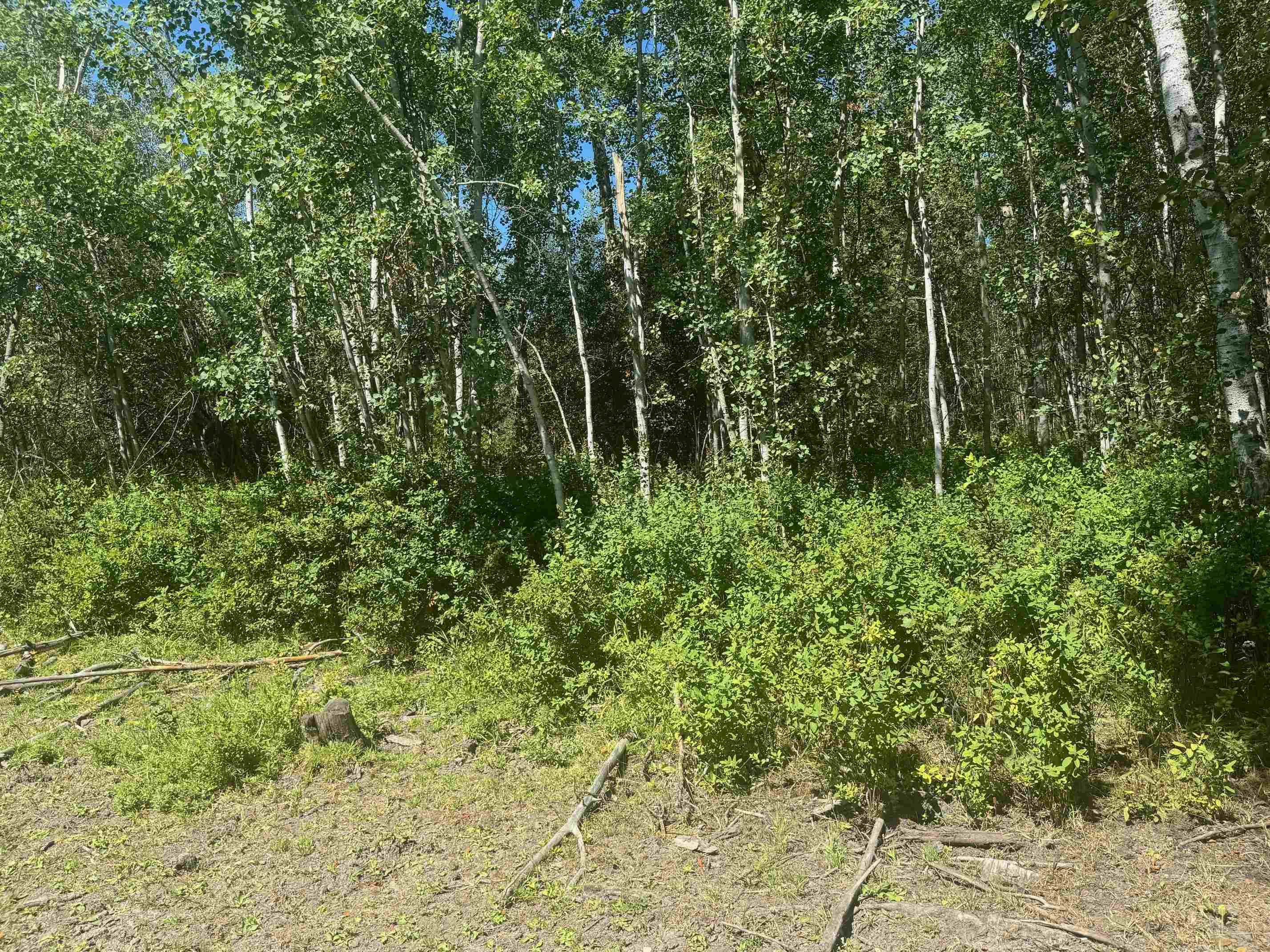 45-xx Williams Valley Road Clayton, WA 99110 - Photo 15 of 26 Gallery Image 15