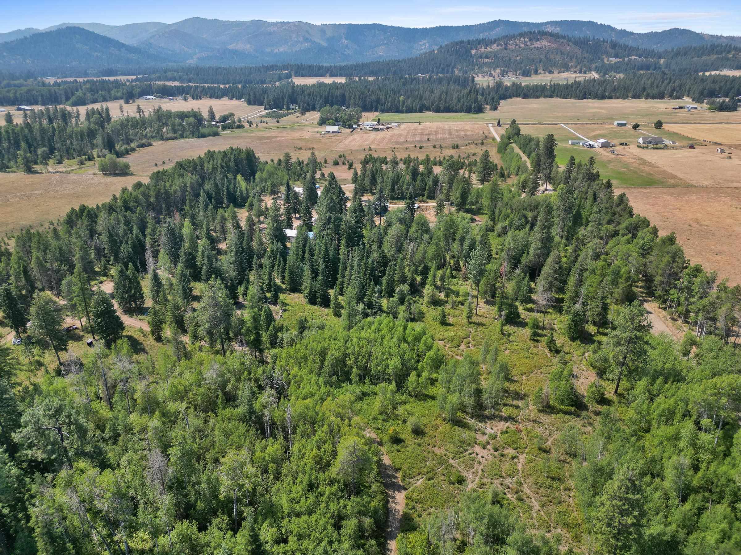45-xx Williams Valley Road Clayton, WA 99110 - Photo 21 of 26 Gallery Image 21