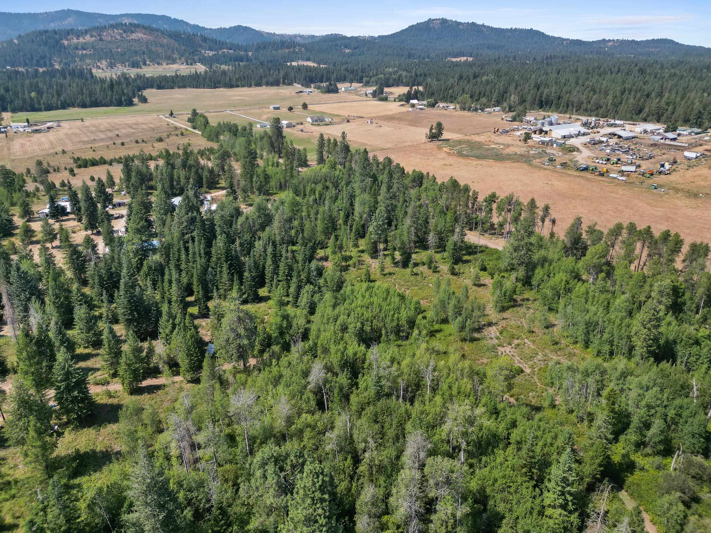 45-xx Williams Valley Road Clayton, WA 99110 - Photo 22 of 26 Gallery Image 22