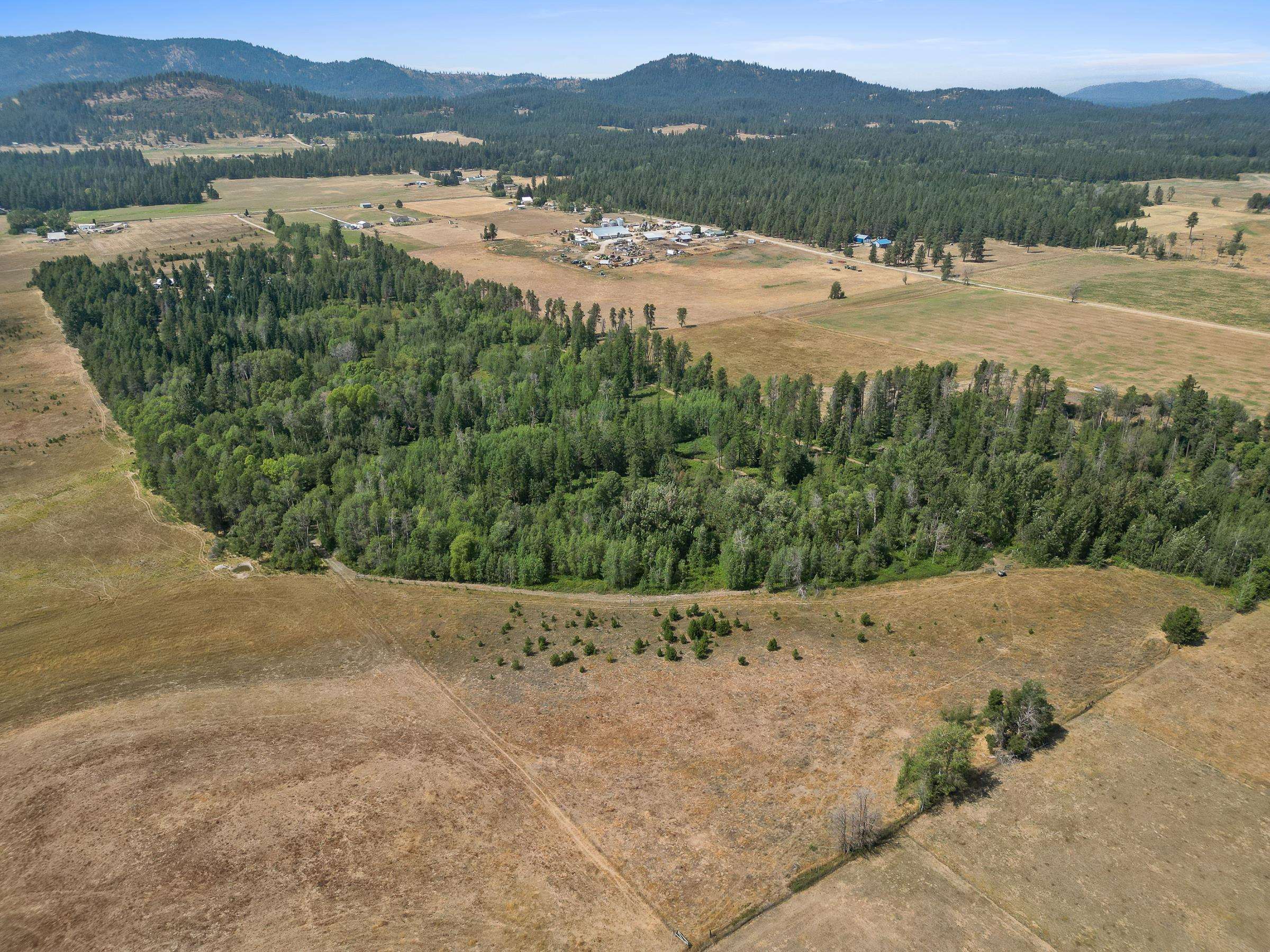45-xx Williams Valley Road Clayton, WA 99110 - Photo 23 of 26 Gallery Image 23