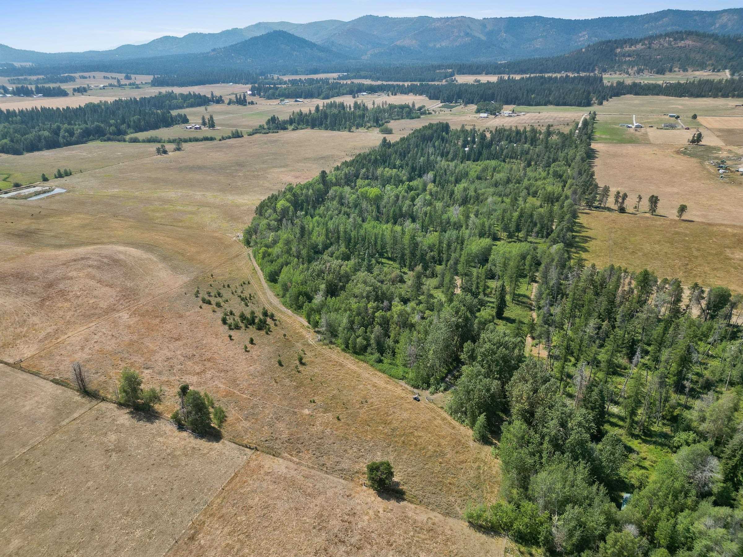 45-xx Williams Valley Road Clayton, WA 99110 - Photo 24 of 26 Gallery Image 24