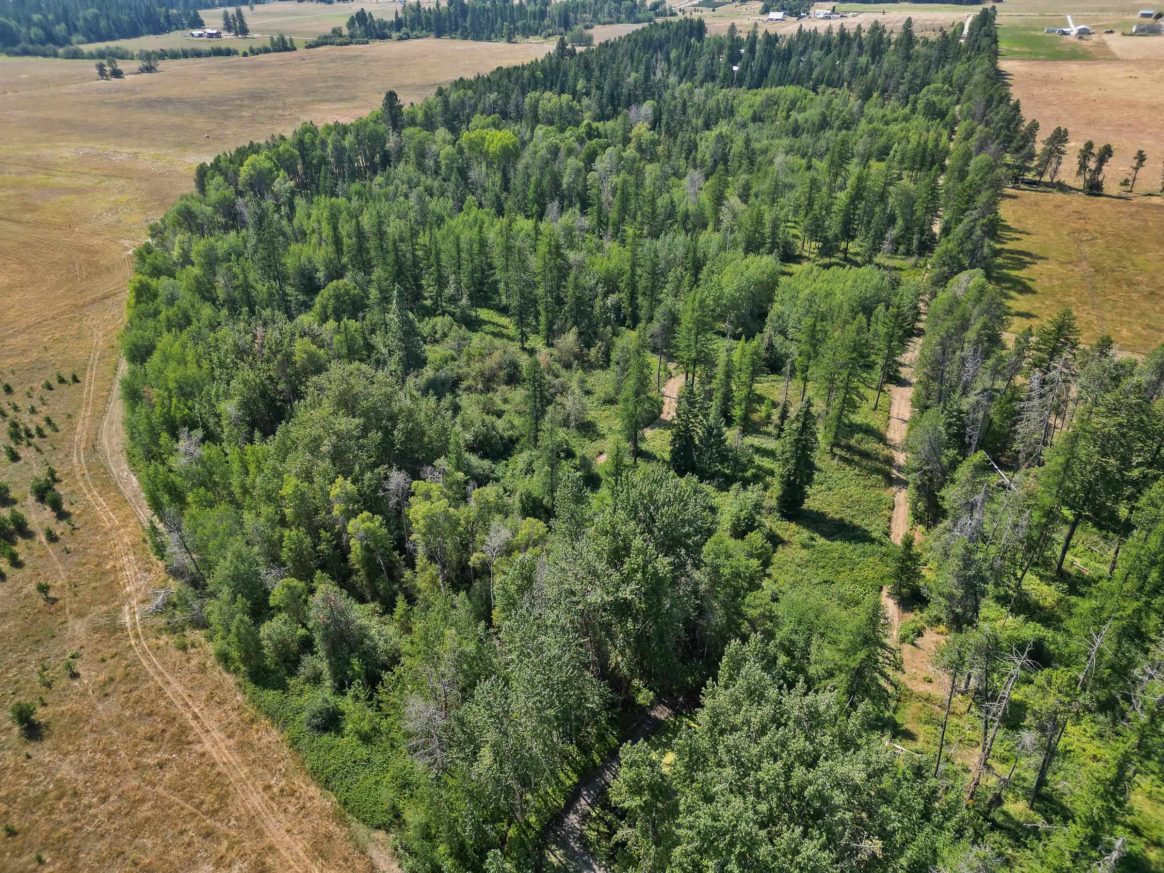 45-xx Williams Valley Road Clayton, WA 99110 - Photo 25 of 26 Gallery Image 25