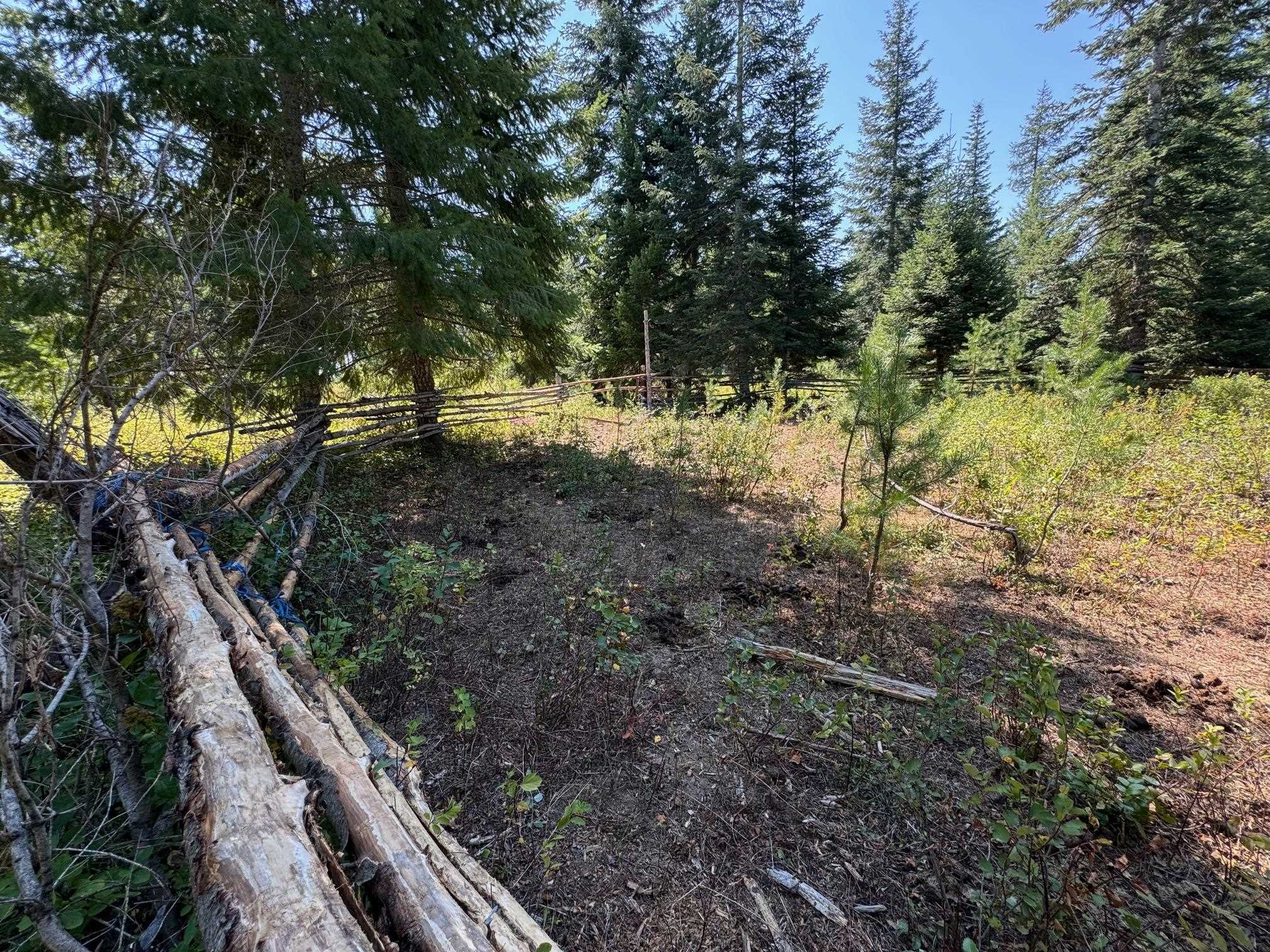 45-xx Williams Valley Road Clayton, WA 99110 - Photo 5 of 26 Gallery Image 5