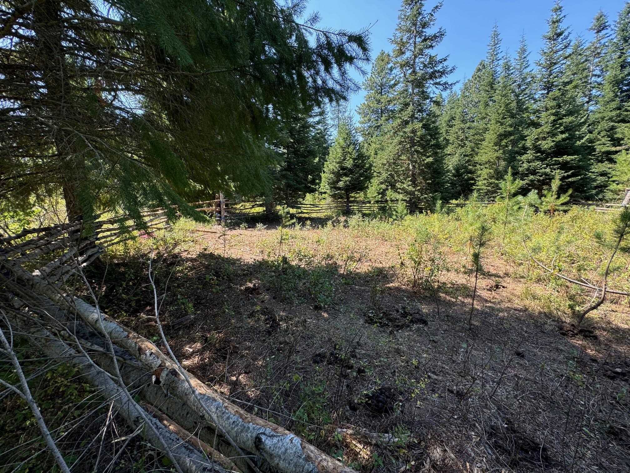 45-xx Williams Valley Road Clayton, WA 99110 - Photo 6 of 26 Gallery Image 6