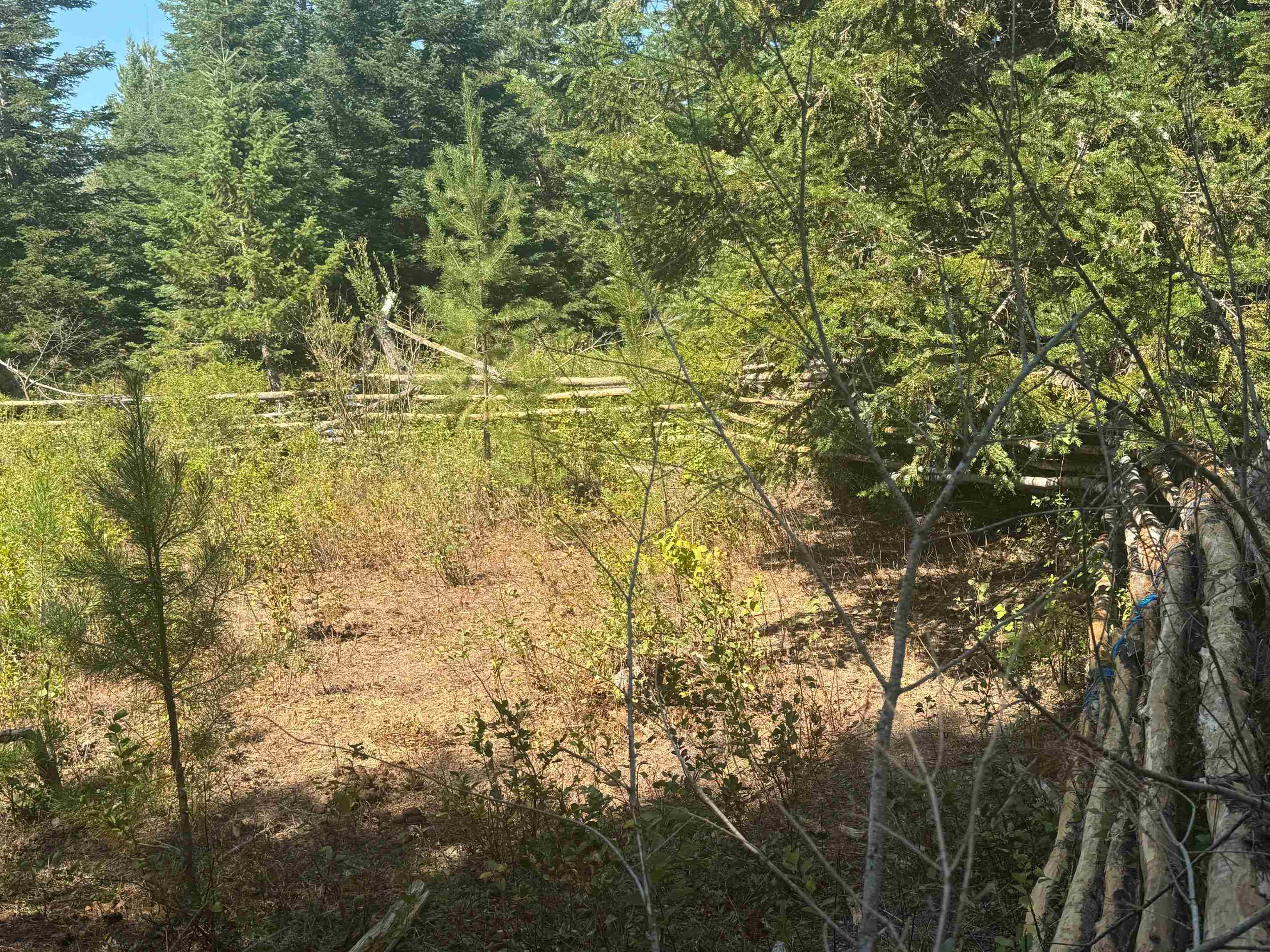 45-xx Williams Valley Road Clayton, WA 99110 - Photo 7 of 26 Gallery Image 7