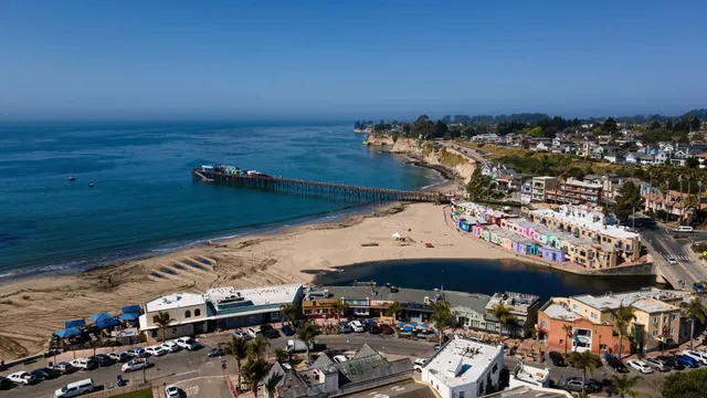 an aerial view of residential houses with outdoor space and trees