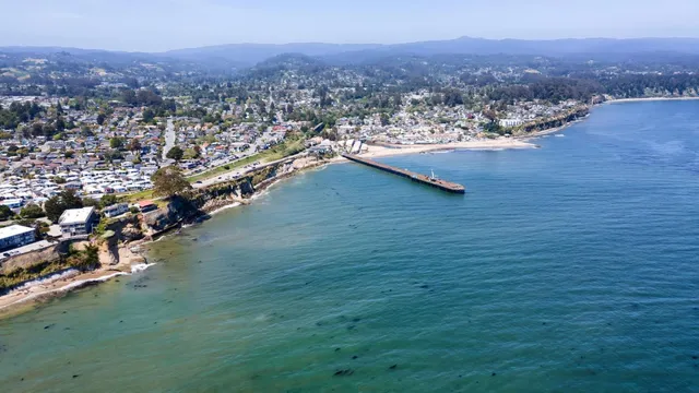 an outdoor space with lots of plants and trees