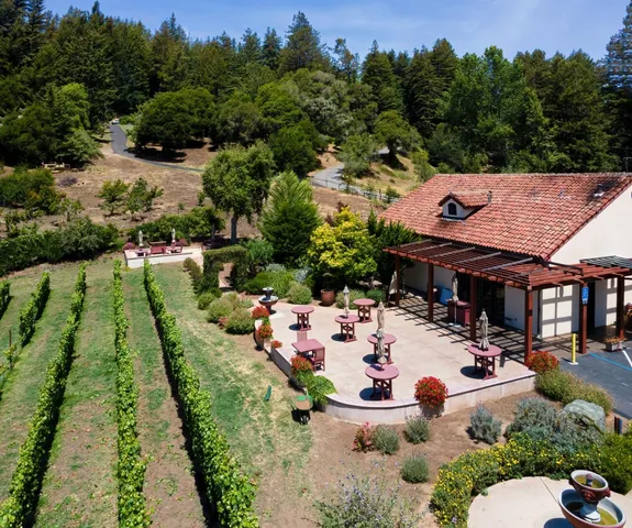 an outdoor view of a garden