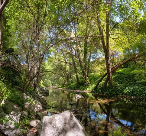 $335,000 | 4300 Soquel Drive, Unit 204, Soquel, CA 95073