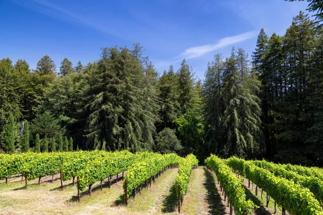 $399,000 | 4300 Soquel Drive, Unit 204, Soquel, CA 95073