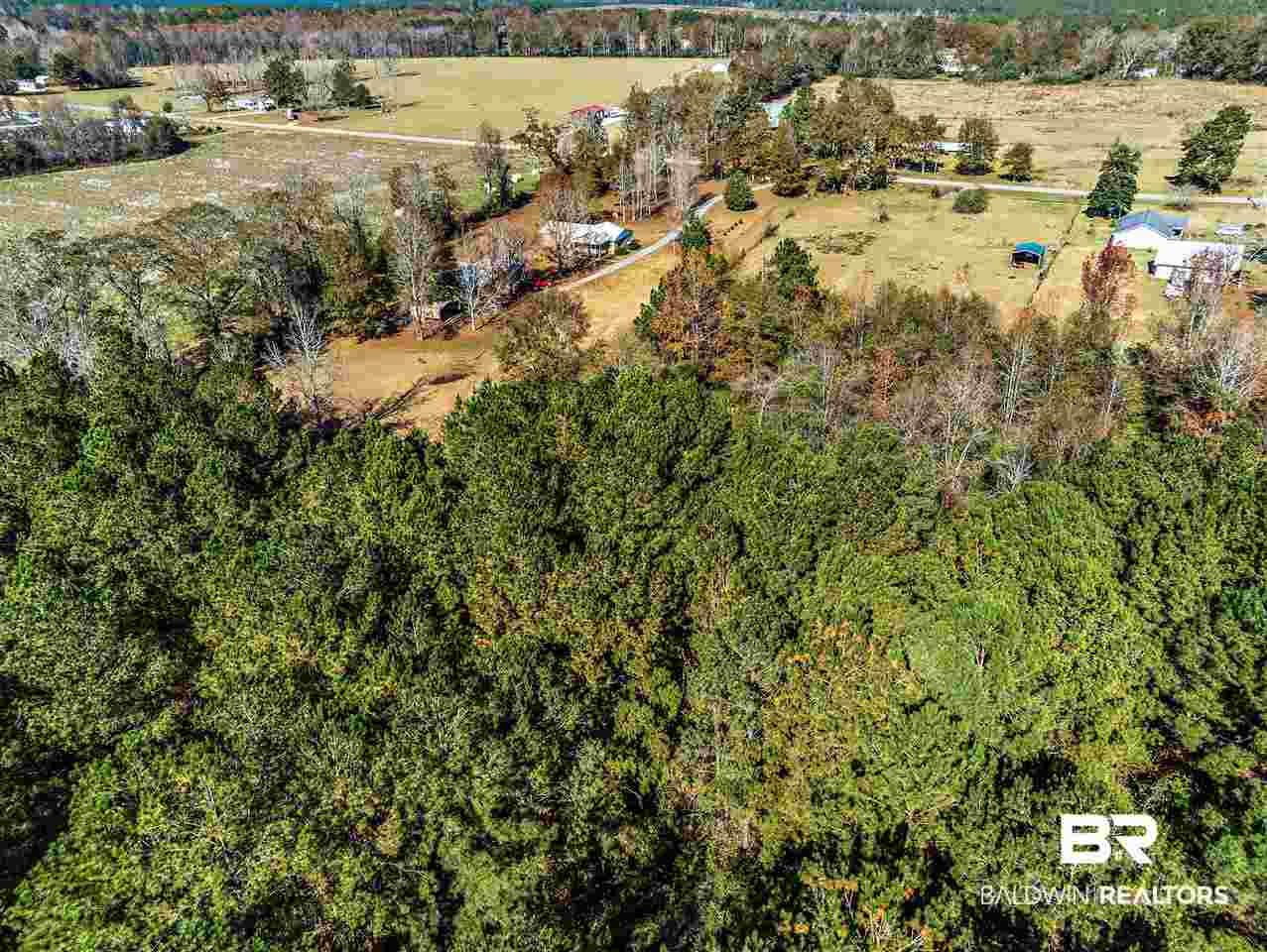 15534 Maytower Road Bay Minette, AL 36507 - Photo 6 of 24