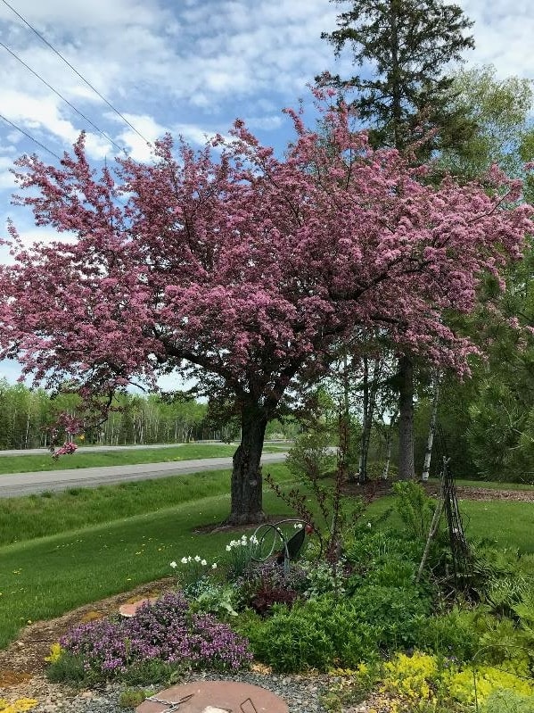 8148 East Spaulding Road South Range, WI 54874 - Photo 32 of 39