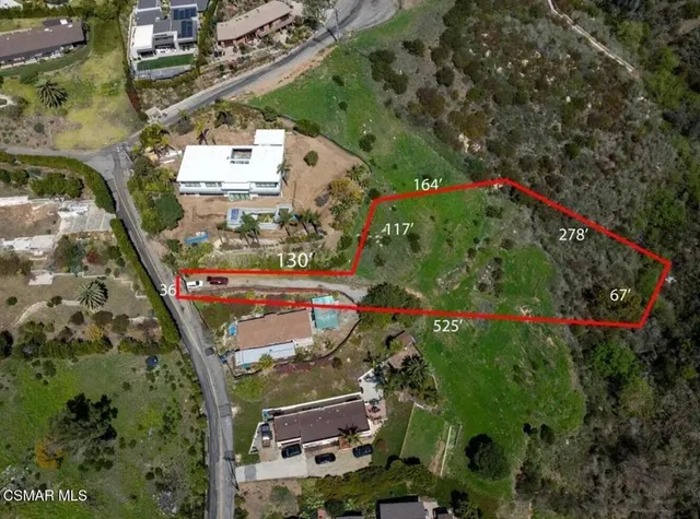 a view of city and flowers