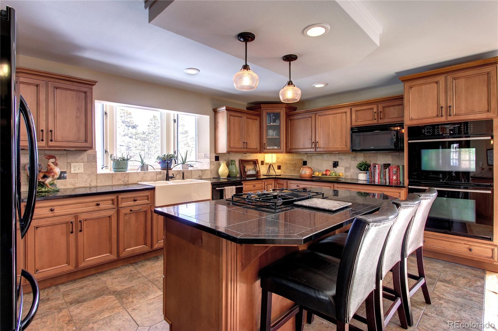 8590 South Warhawk Road Conifer, CO 80433 - Photo 11 of 35 Gallery Image 11