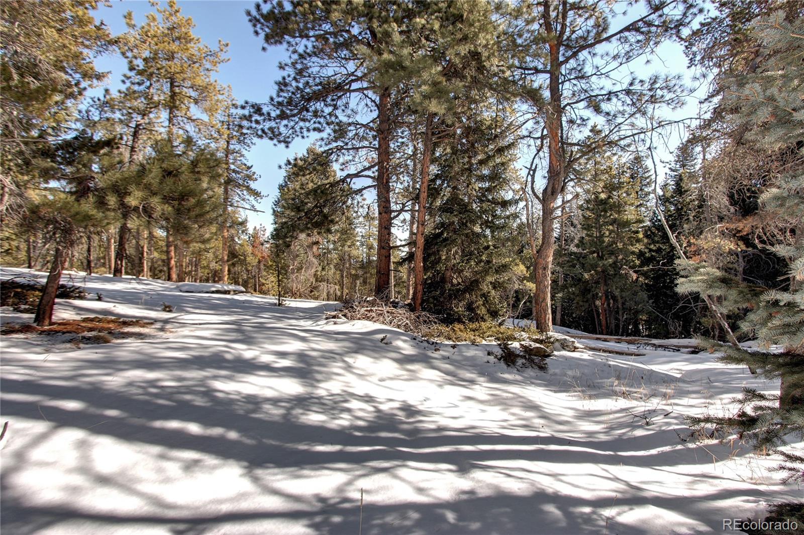 8590 South Warhawk Road Conifer, CO 80433 - Photo 35 of 35 Gallery Image 35