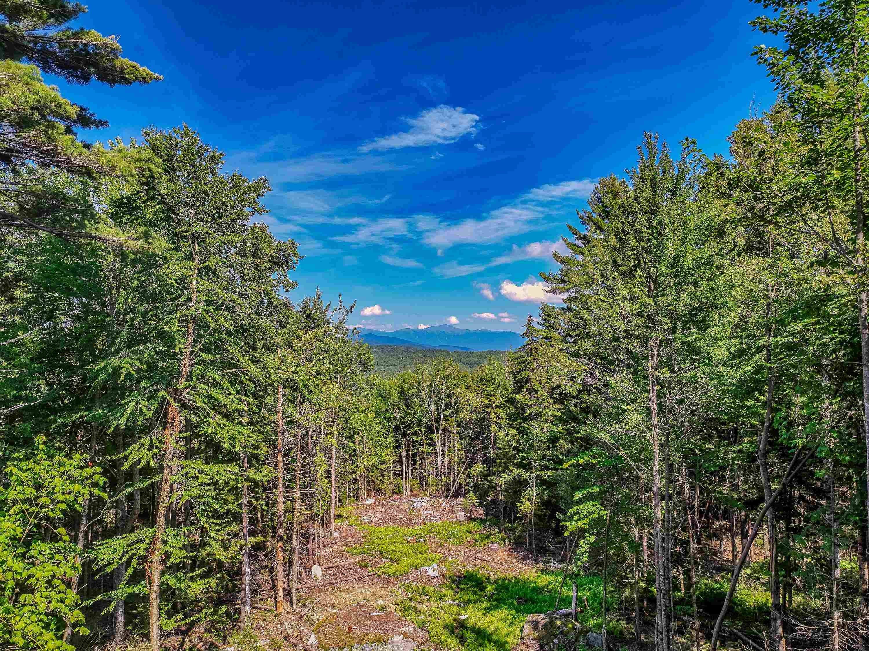 0 Ridge Road, Unit 28 Bethlehem, NH 03574 - Photo 11 of 57