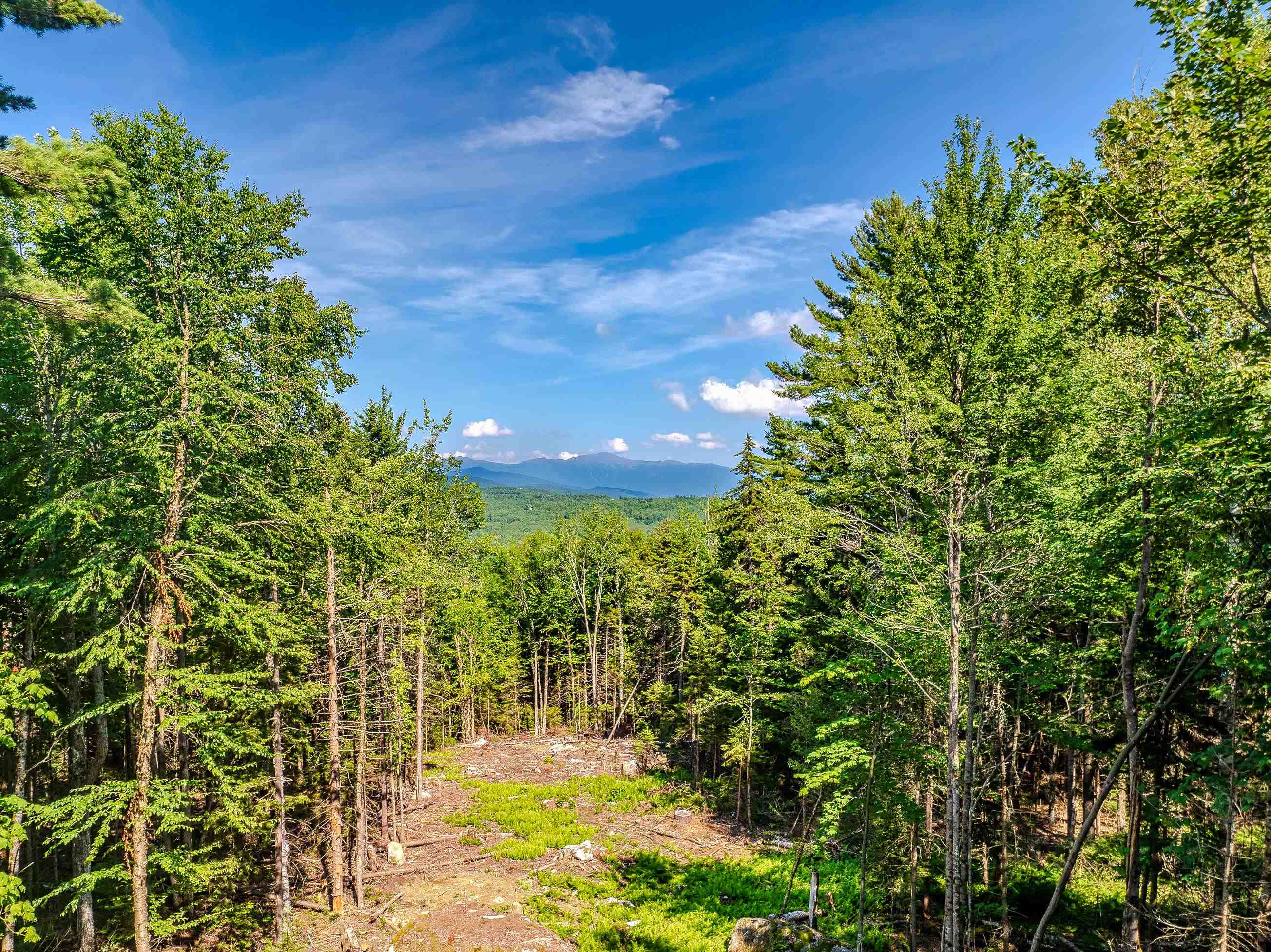 0 Ridge Road, Unit 28 Bethlehem, NH 03574 - Photo 12 of 57