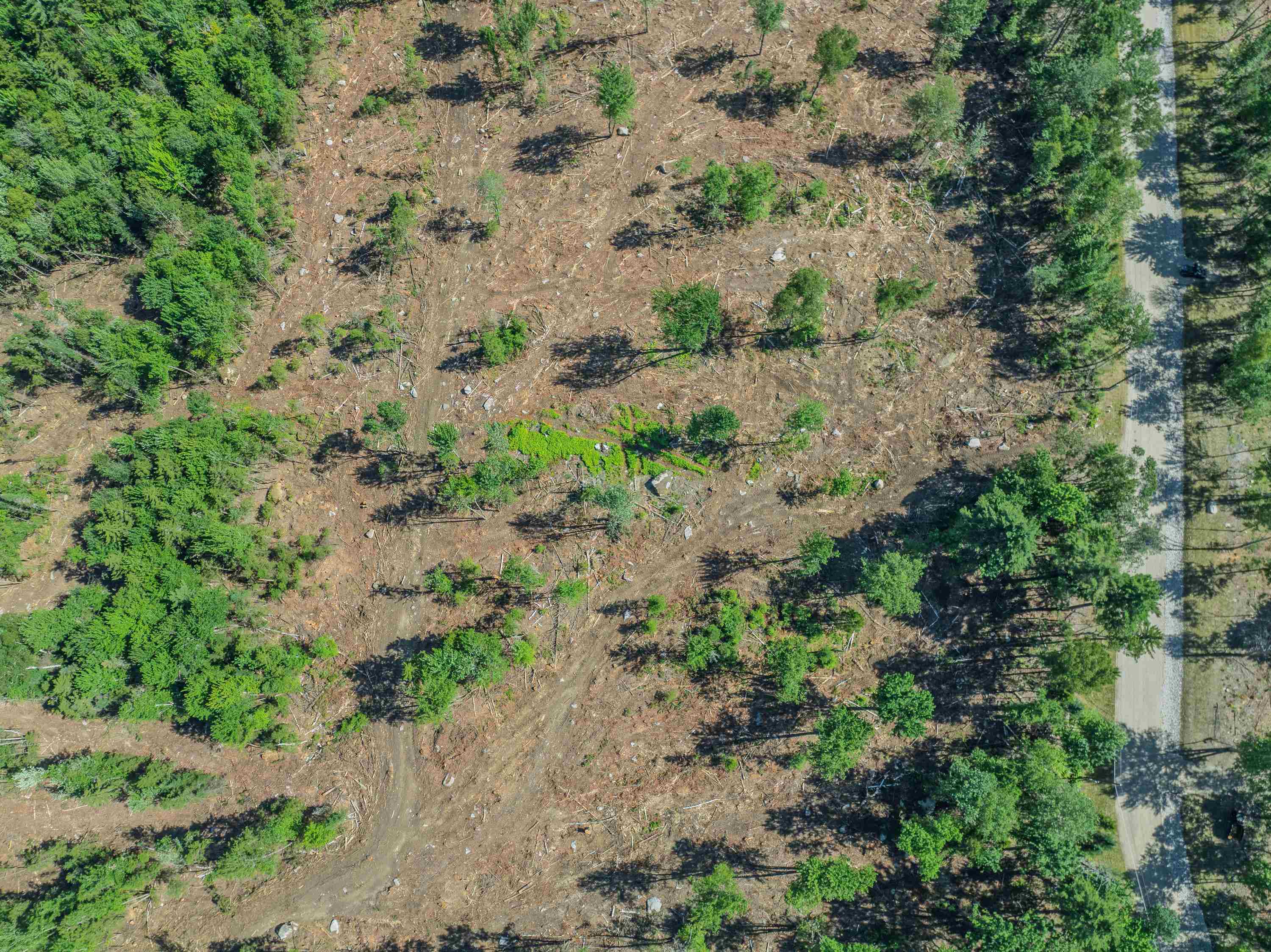 0 Ridge Road, Unit 28 Bethlehem, NH 03574 - Photo 4 of 57