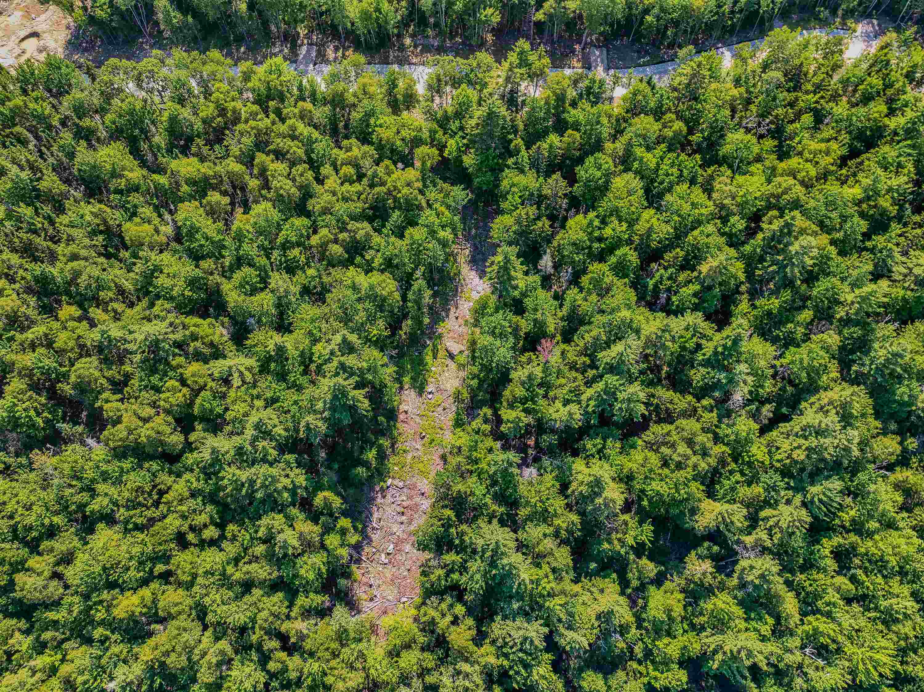 0 Ridge Road, Unit 28 Bethlehem, NH 03574 - Photo 41 of 56