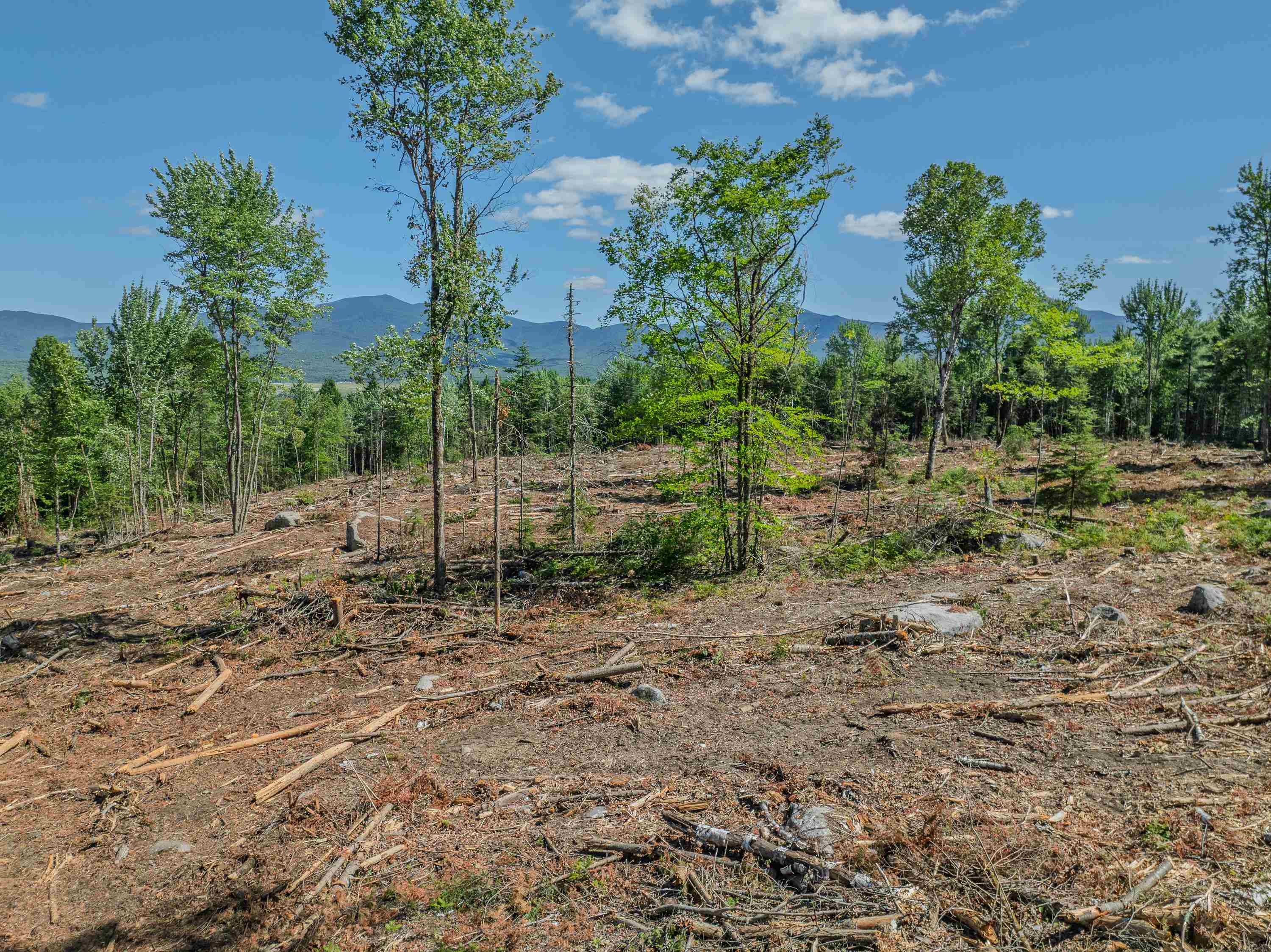 0 Ridge Road, Unit 28 Bethlehem, NH 03574 - Photo 5 of 57