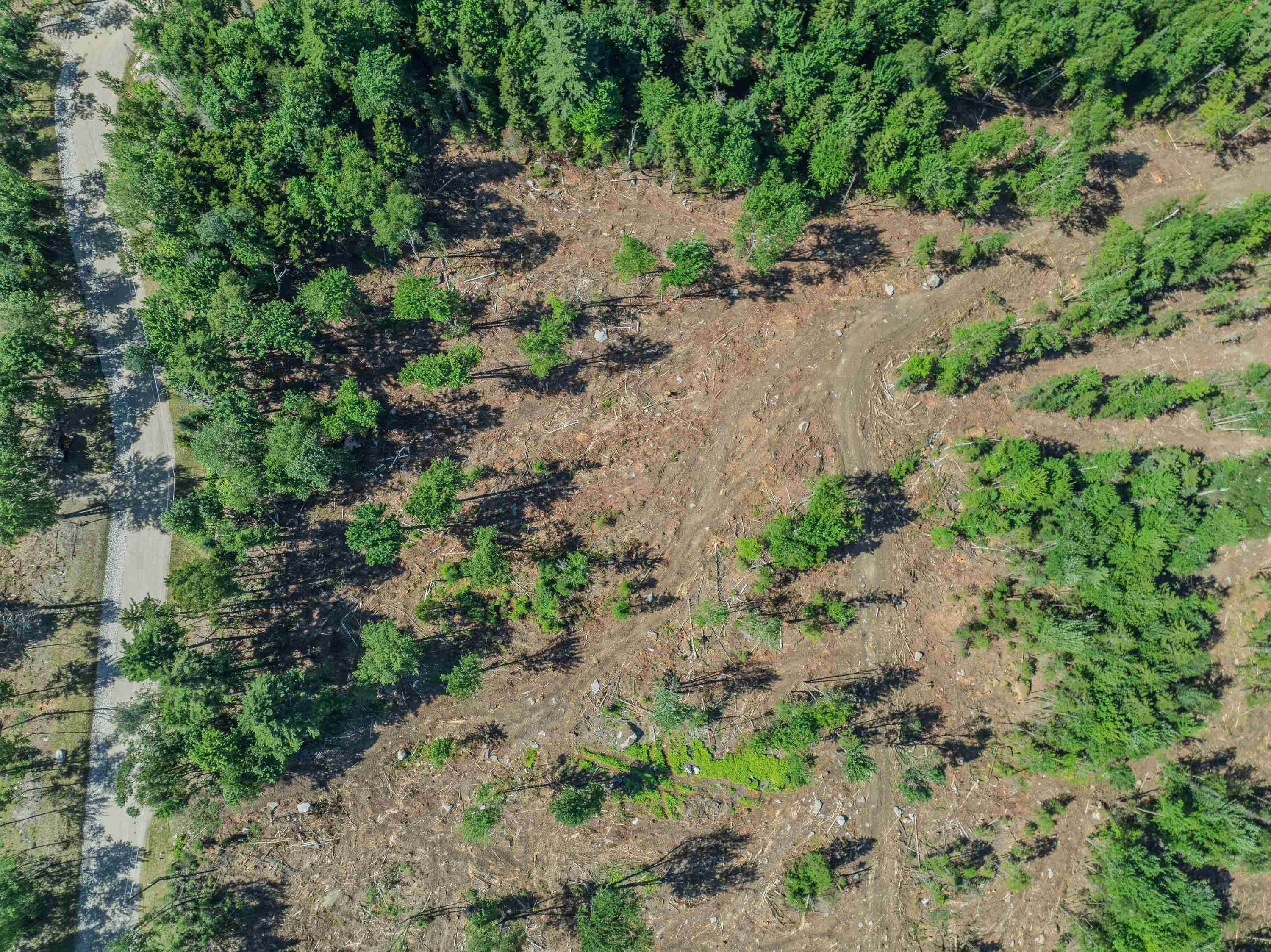 0 Ridge Road, Unit 28 Bethlehem, NH 03574 - Photo 51 of 56